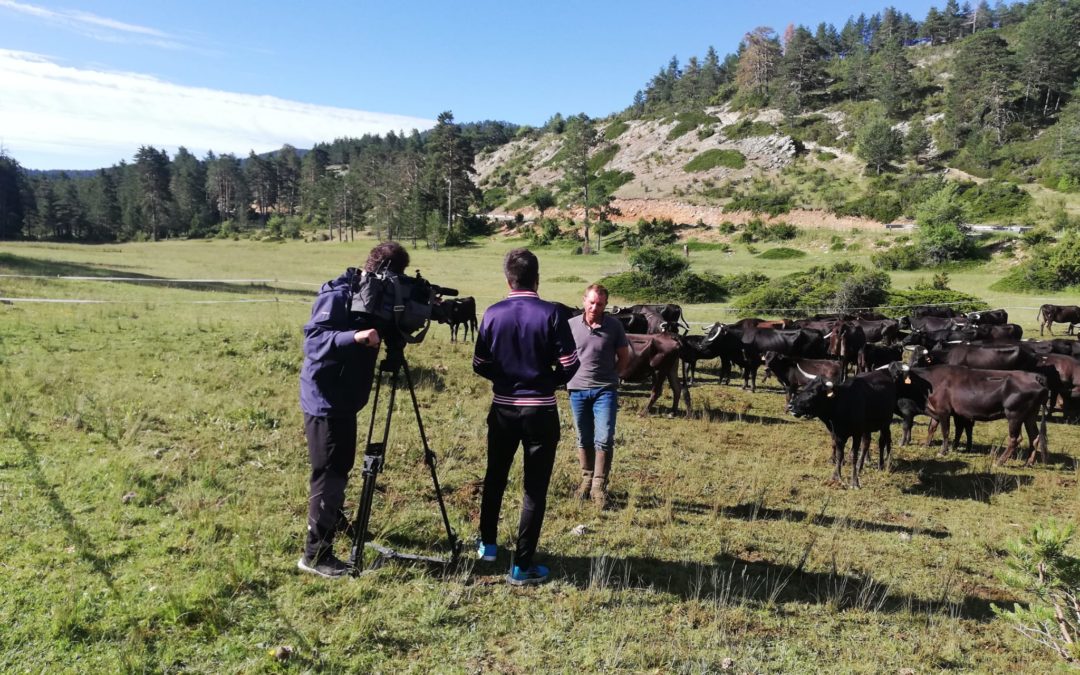 Aragón Televisión en la sierra de Cuenca