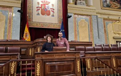 Sus Señorías: El Estudiantito y Loss Pineda